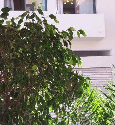 Deroua Apartment | 55 m² Apartment ∙ 1 bedroom ∙ 3 guests