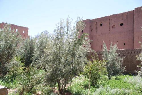 Skoura Bed & Breakfast | 80 m² Bed and breakfast ∙ 2 bedrooms ∙ 4 guests