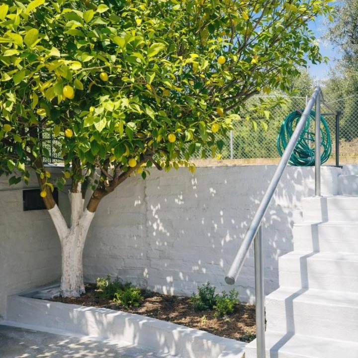Dirfys-Messapia Apartment | The Citrus Yard in Politika, 2 bedrooms apartment