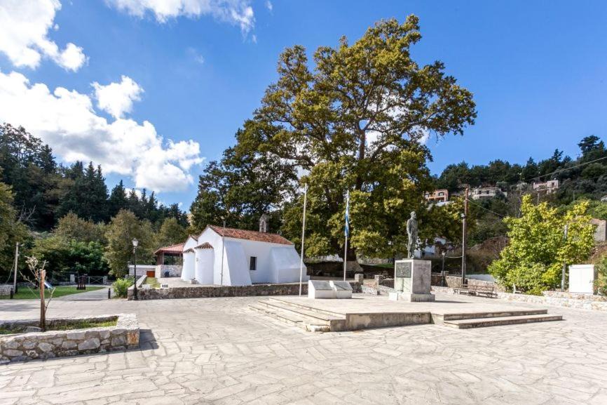 Theriso Villa | Ifigenia Theriso Village