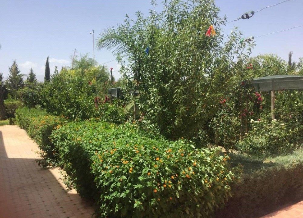 Photo of Outdoor in Sidi Abdallah Ghiat