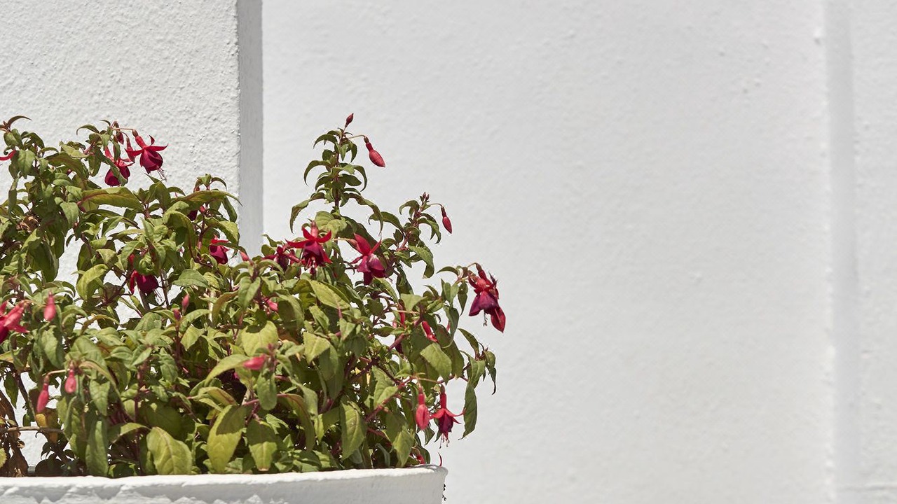 Photo of Bedroom in Oia