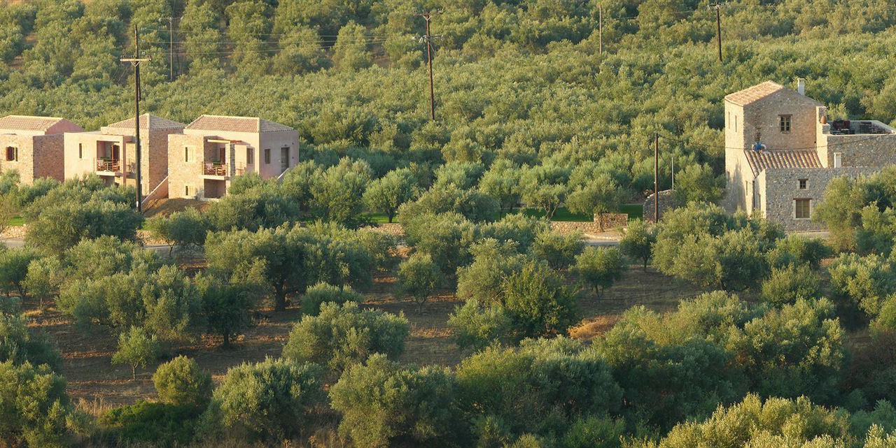 Photo of Others in Velies