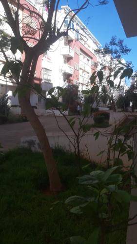 Photo of Others in Sidi Yahya Zaer