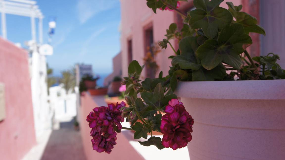 Photo of Others in Oia