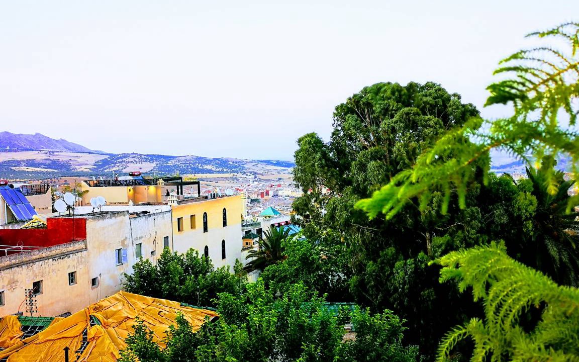 Photo of Others in Talaa
