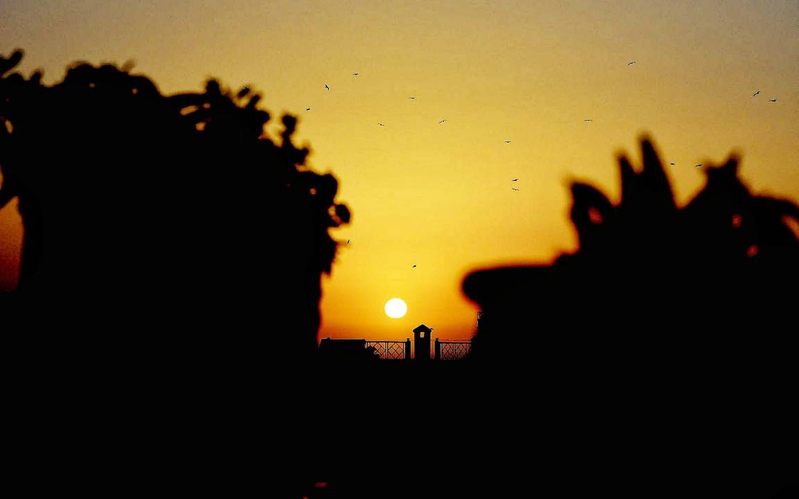 Photo of Others in Medina