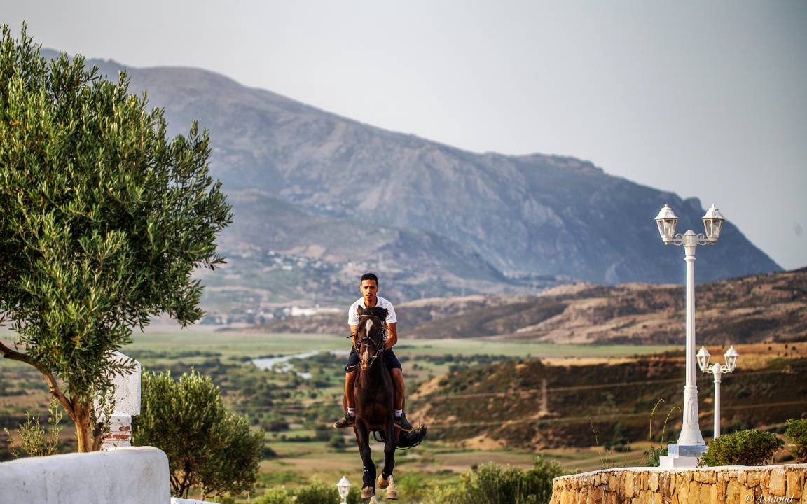 Photo of Others in Derdara