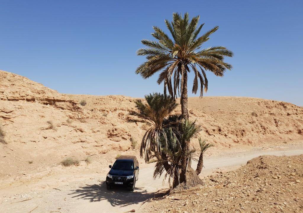 Photo of Others in Sidi Badhaj