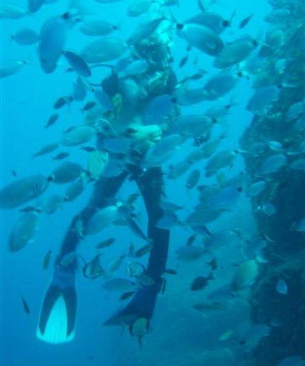 Photo of Human In Picture in Perissa