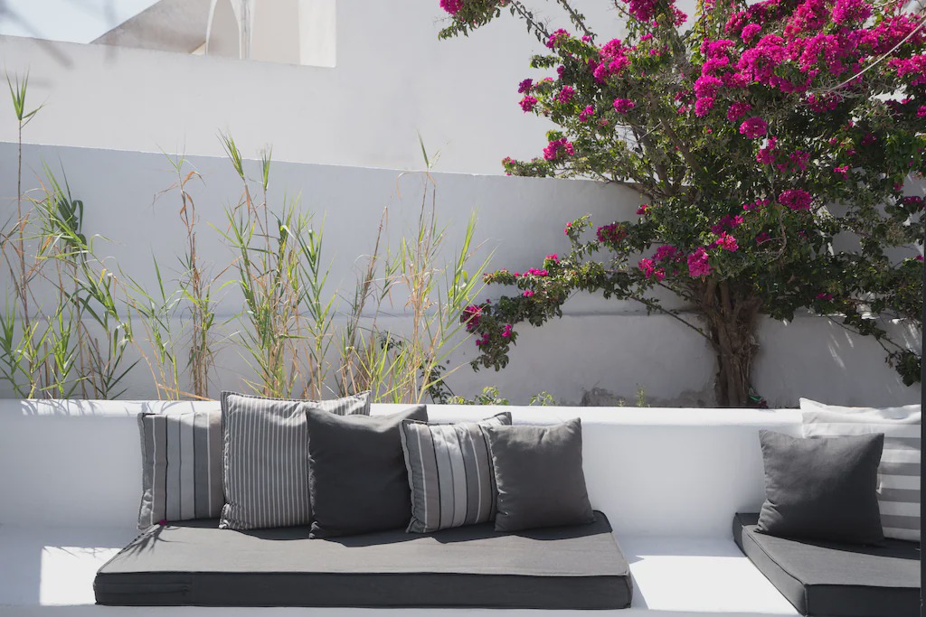 Photo of Others in Oia