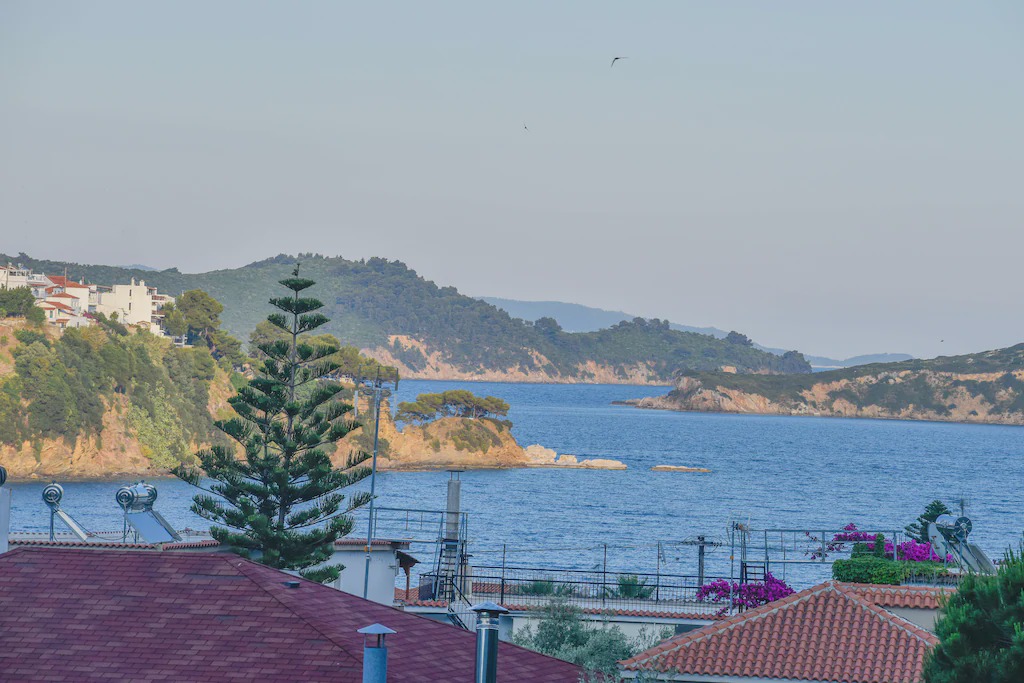 Photo of Others in Skiathos Town