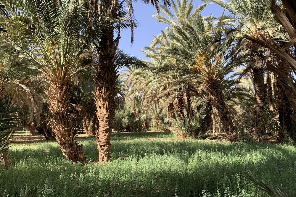 Photo of Outdoor in Ksar el Borj