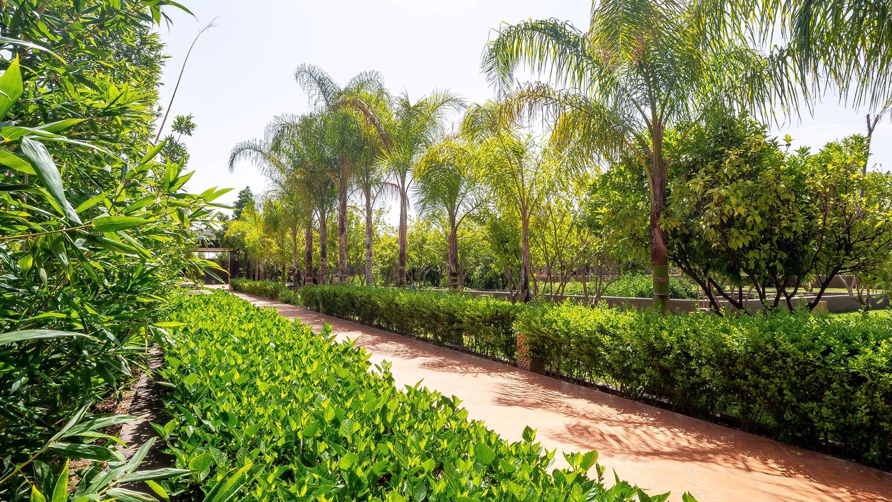 Photo of Outdoor in Oulad Hassoune