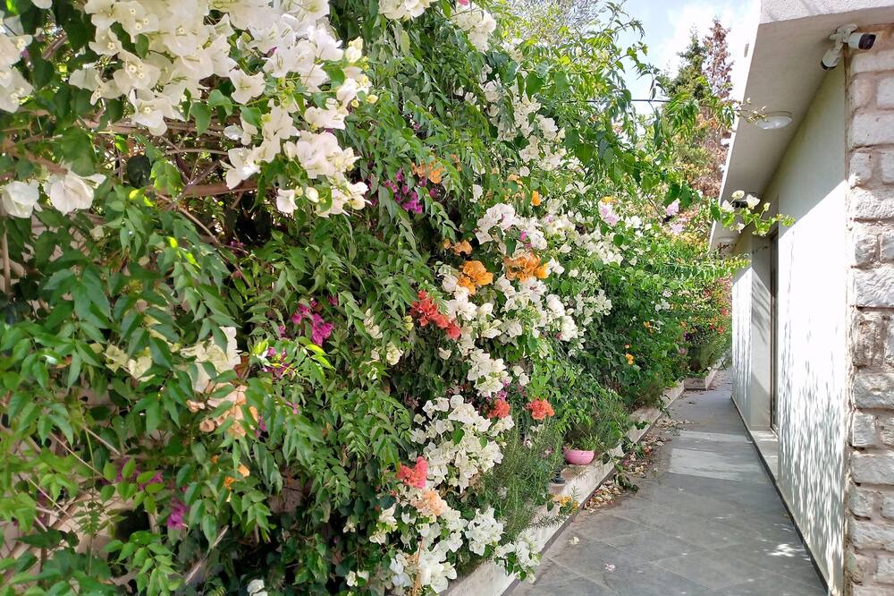 Photo of Outdoor in Essaouira