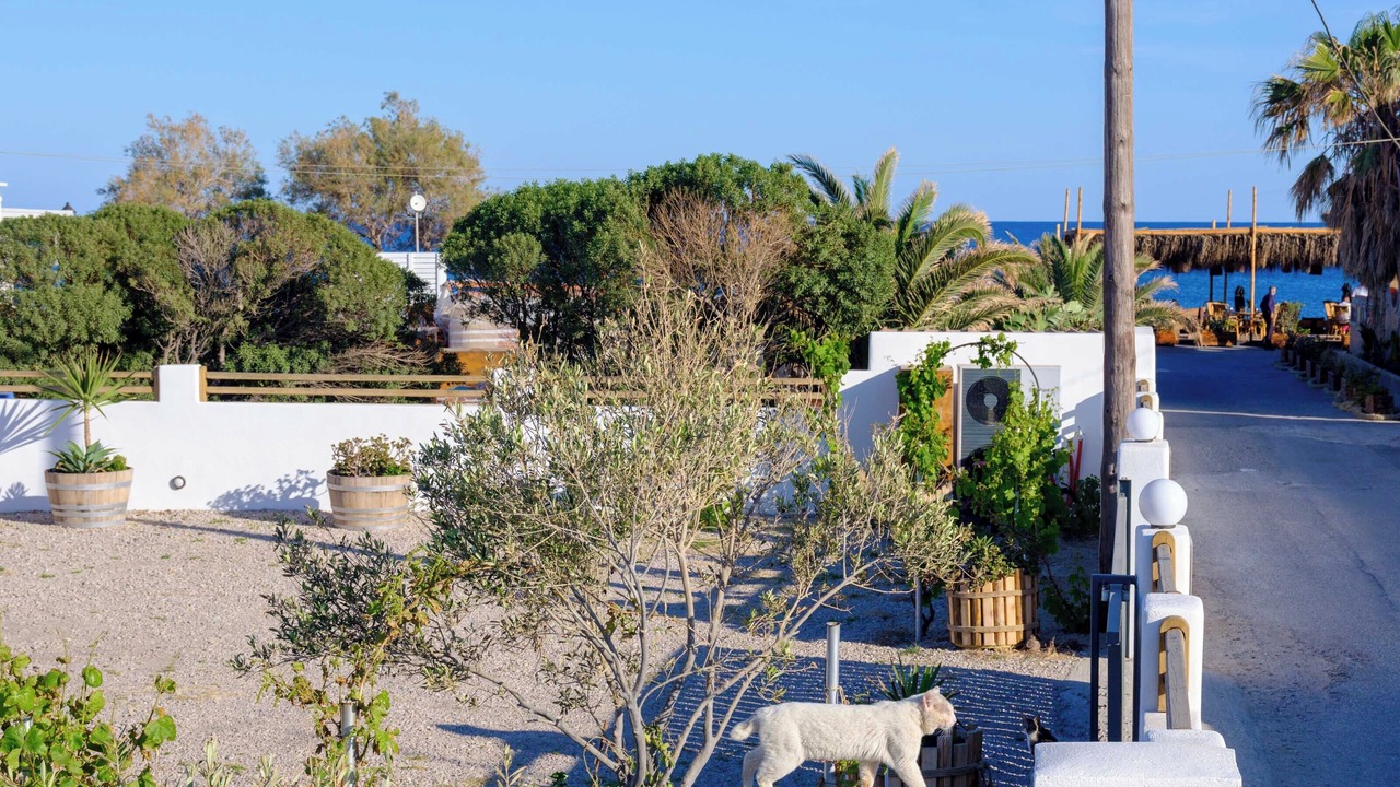 Photo of Outdoor in Agios Georgios