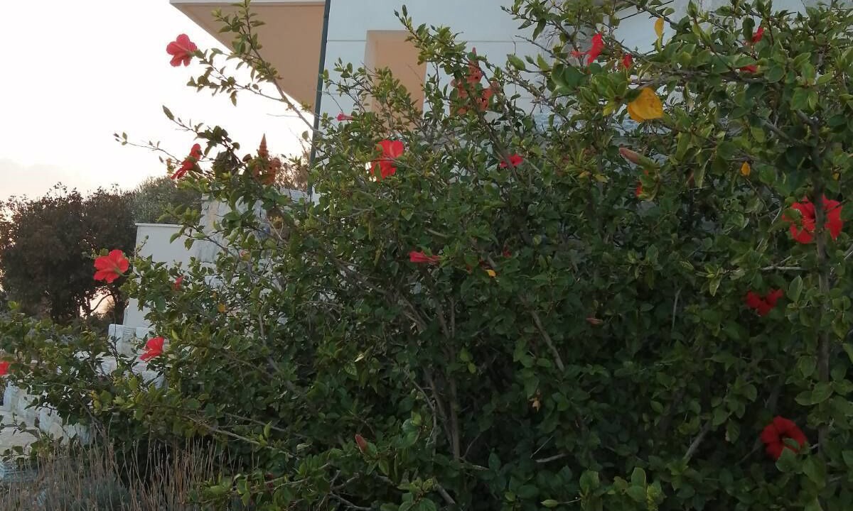 Photo of Outdoor in Marathon
