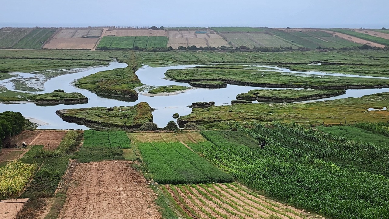 Photo of Outdoor in Oualidia