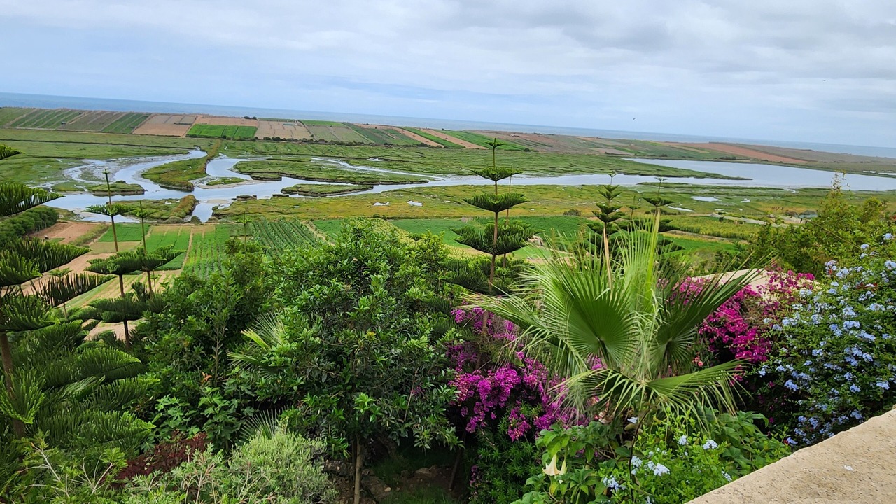 Photo of Outdoor in Oualidia