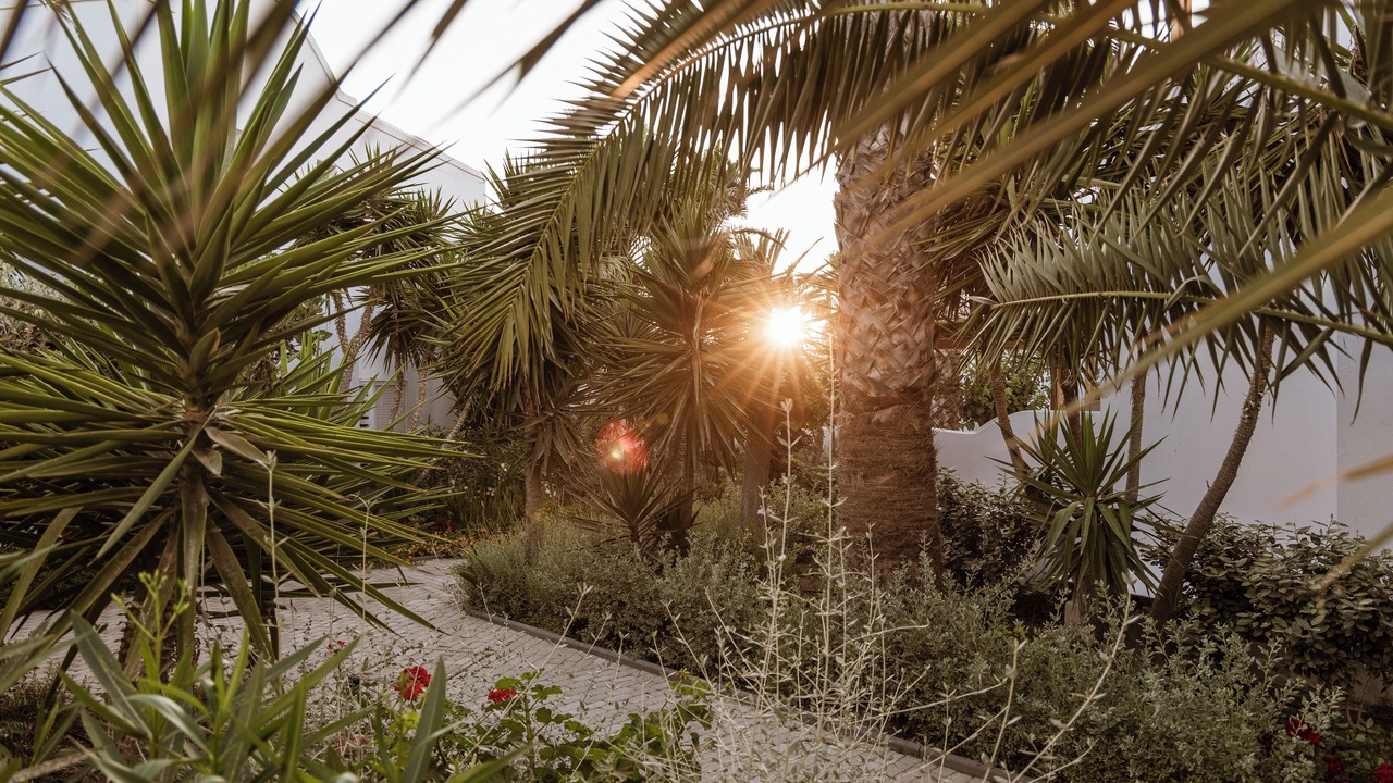 Photo of Outdoor in Agia Paraskevi