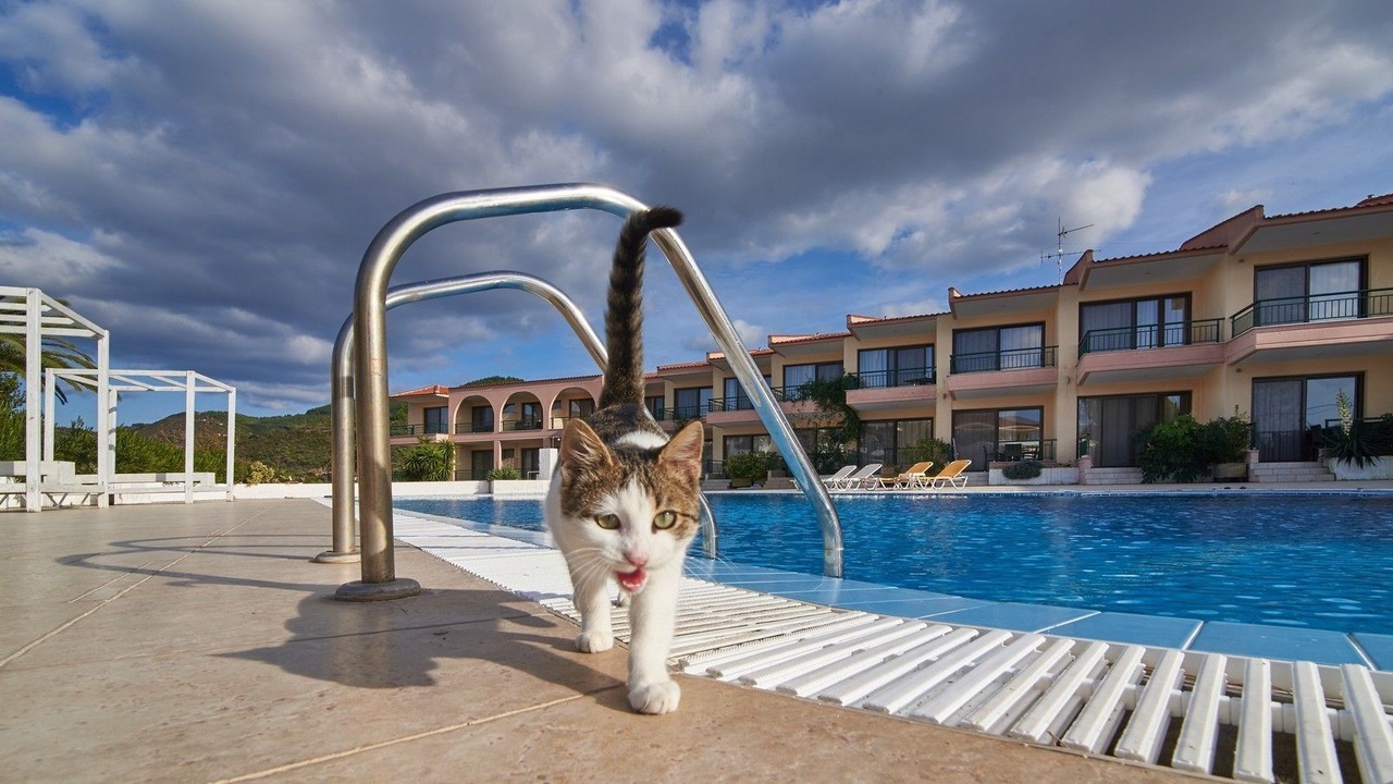 Photo of Outdoor in Toroni
