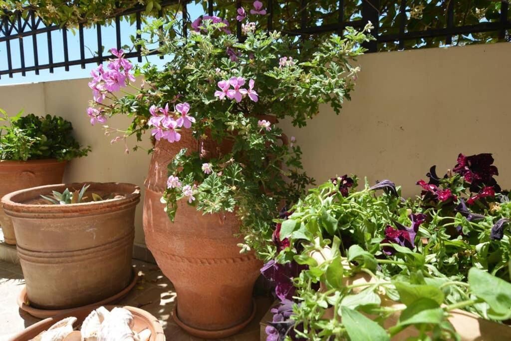 Photo of Outdoor in Anissaras