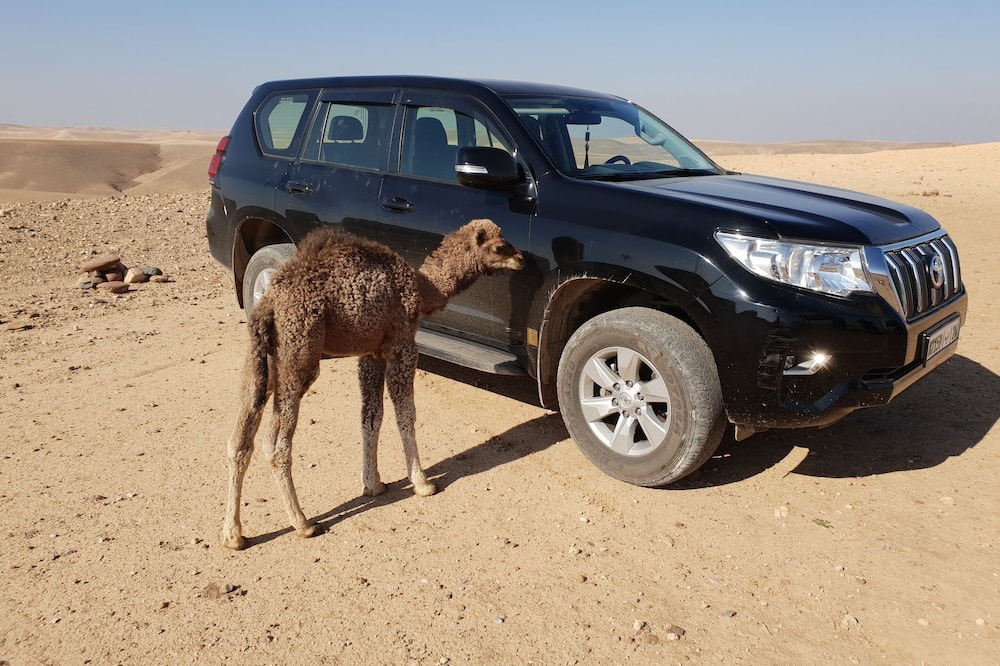 Photo of Others in Sidi Badhaj