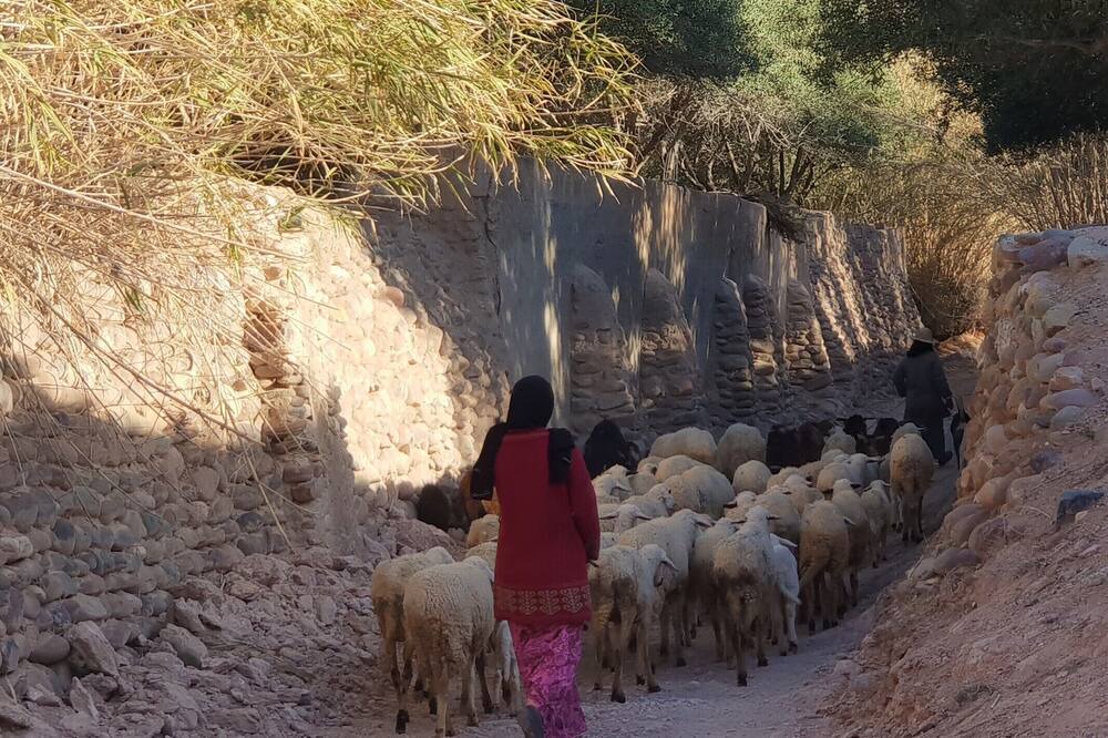 Photo of Others in Sidi Badhaj