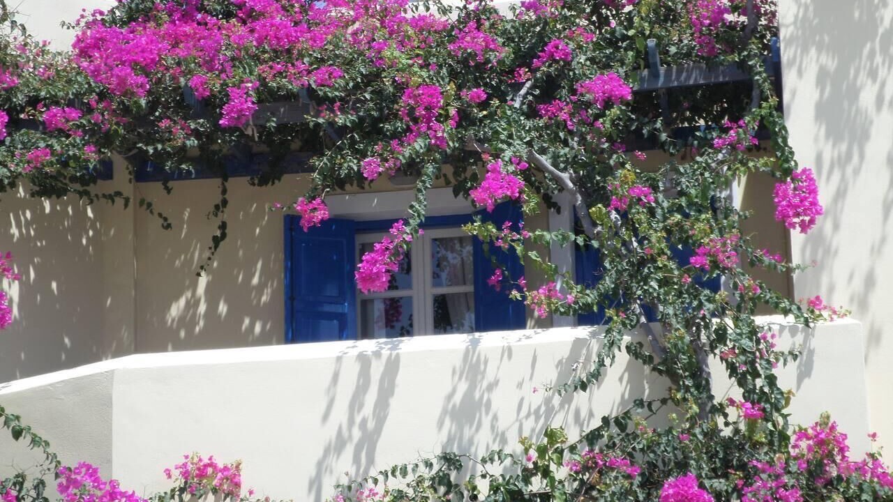Photo of Outdoor in Megalochori