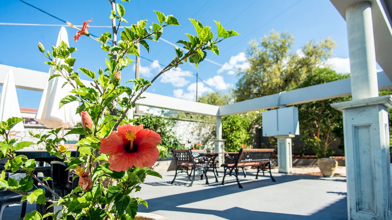 Photo of Outdoor in Razata