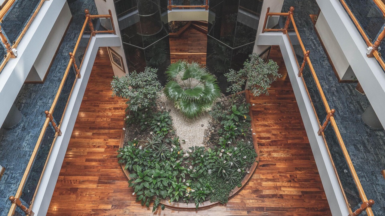 Photo of Outdoor in Lanin National Park