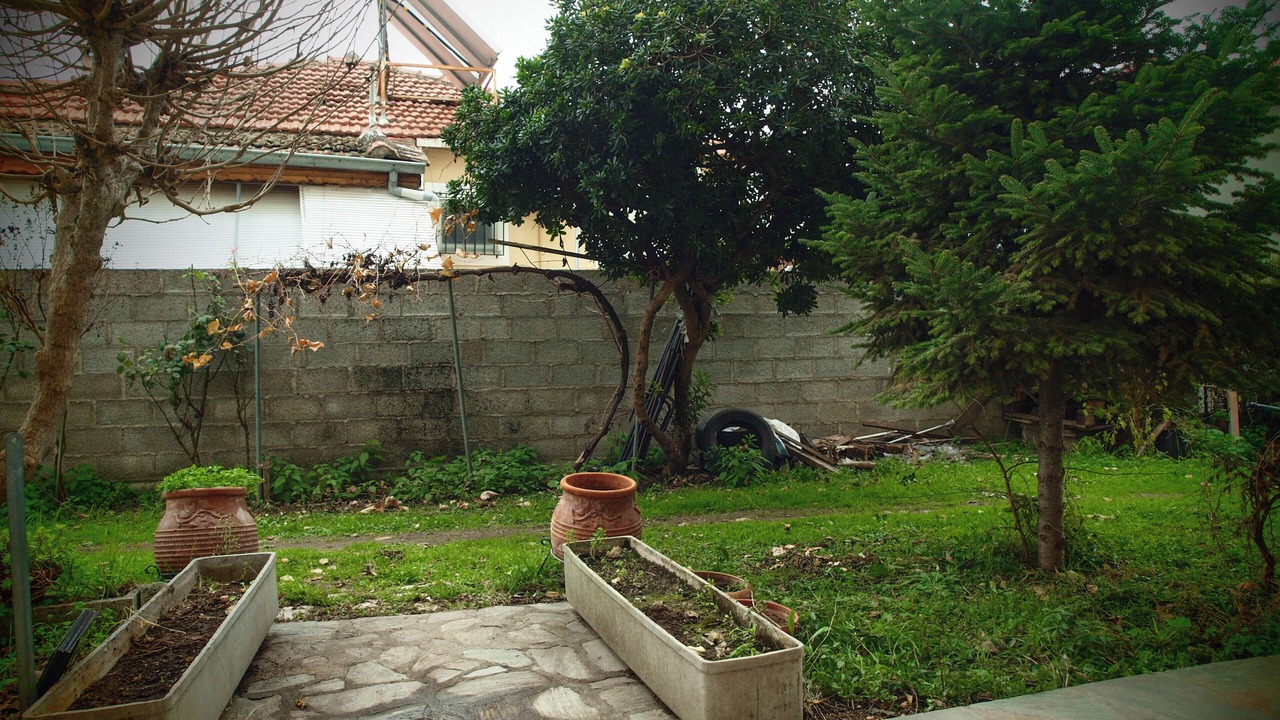 Photo of Outdoor in Trikala