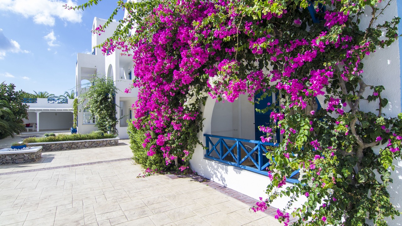 Photo of Outdoor in Perivolos