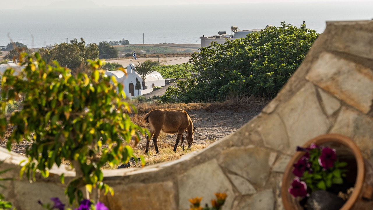 Photo of Outdoor in Karterados