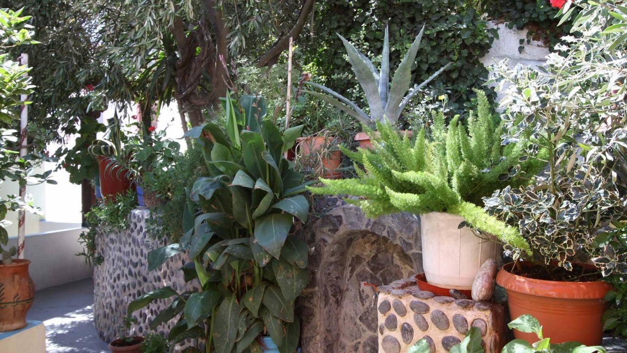 Photo of Outdoor in Megalochori