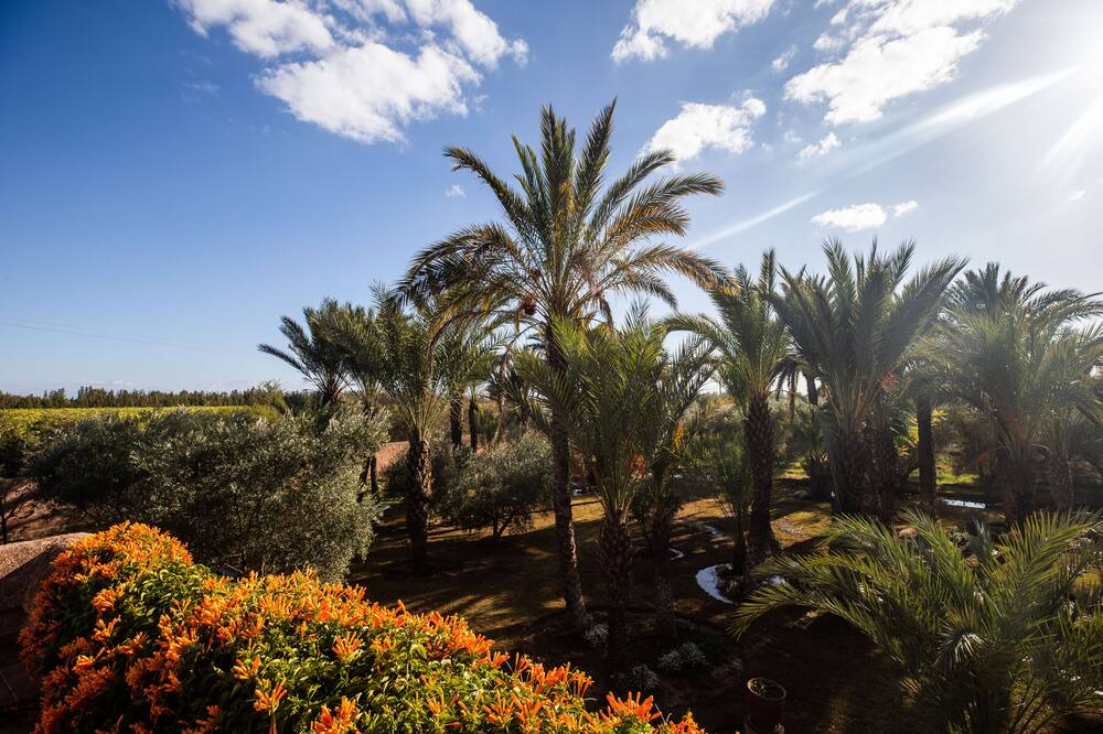 Photo of Outdoor in Saada