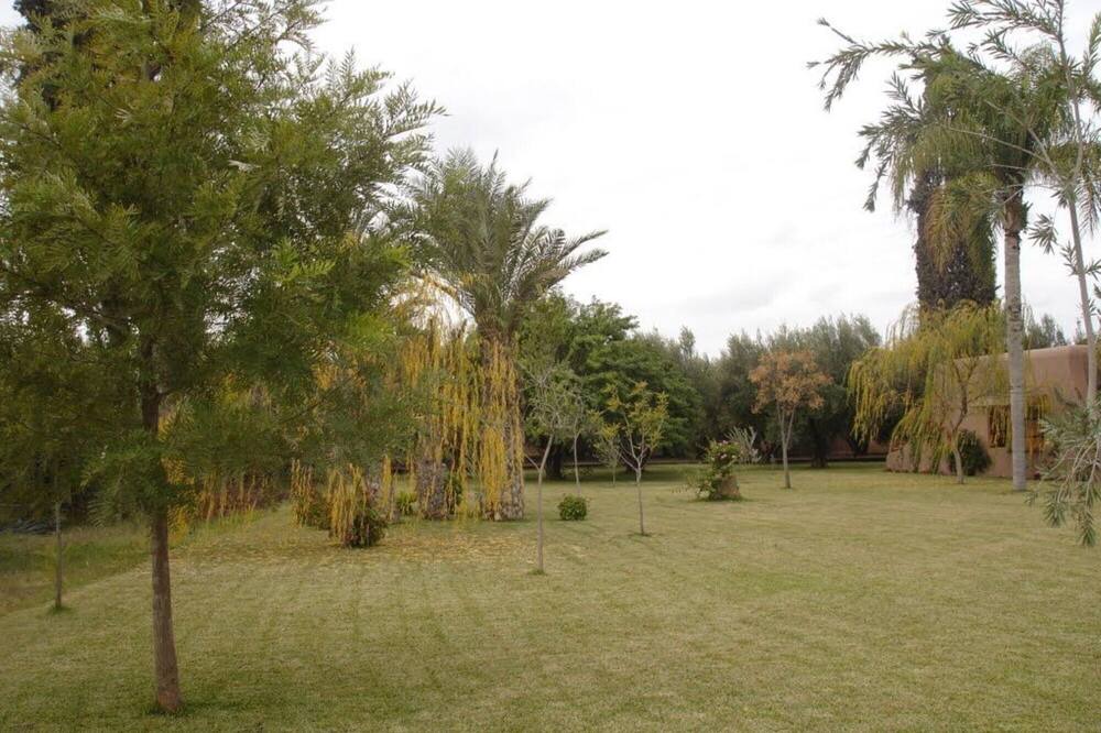 Photo of Outdoor in Saada