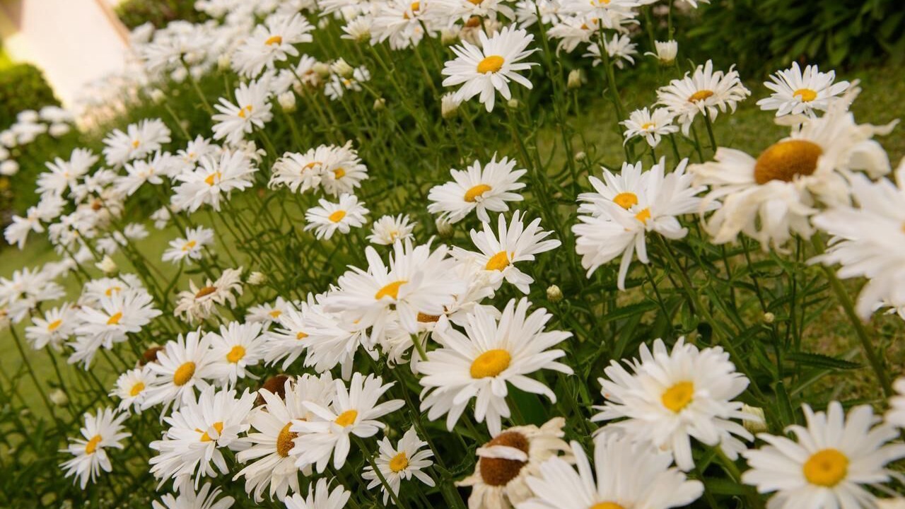 Photo of Outdoor in Neo Kalamaki