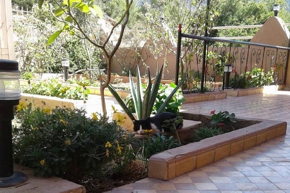 Photo of Outdoor in Imouzzer des Ida Outanane