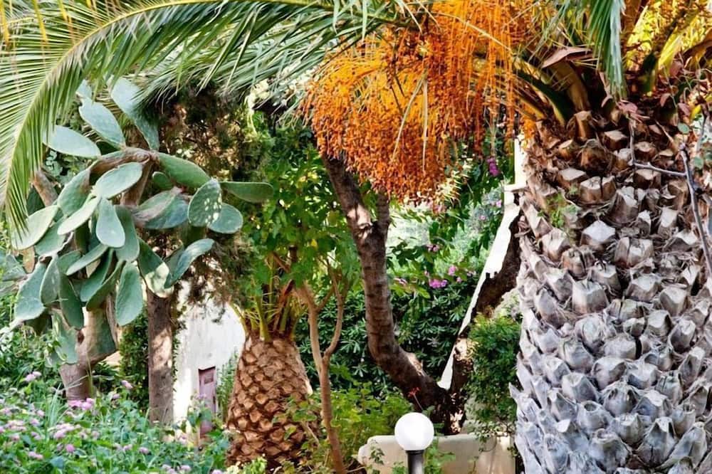 Photo of Outdoor in Koutouloufari
