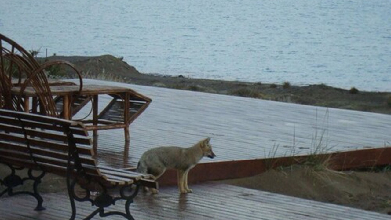 Photo of Patio Balcony in Macrozona Lago Argentino