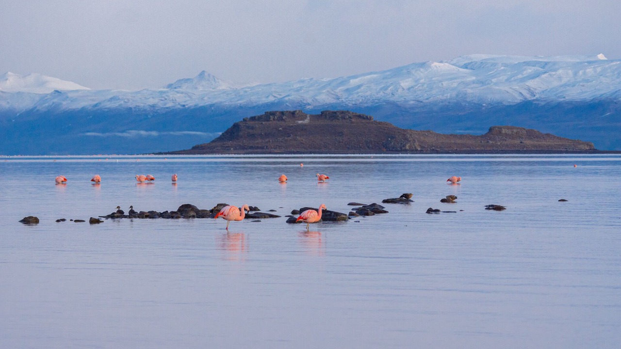 Photo of Outdoor in Macrozona Lago Argentino