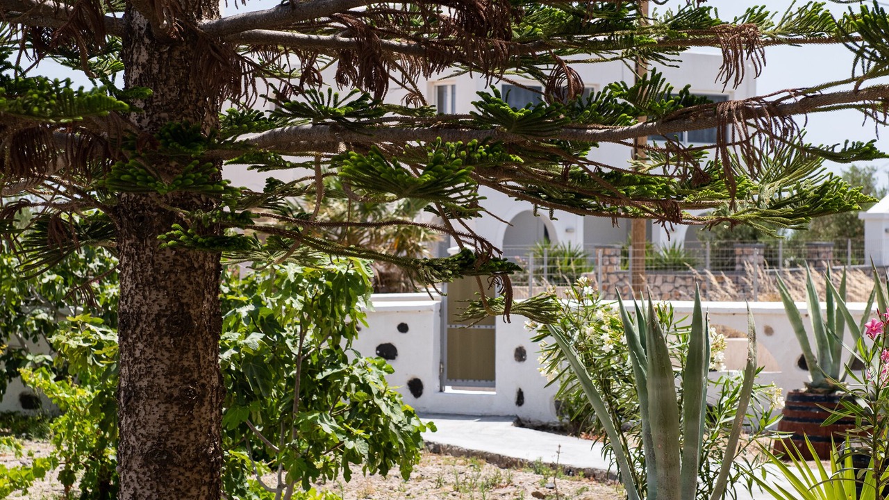 Photo of Outdoor in Emporio
