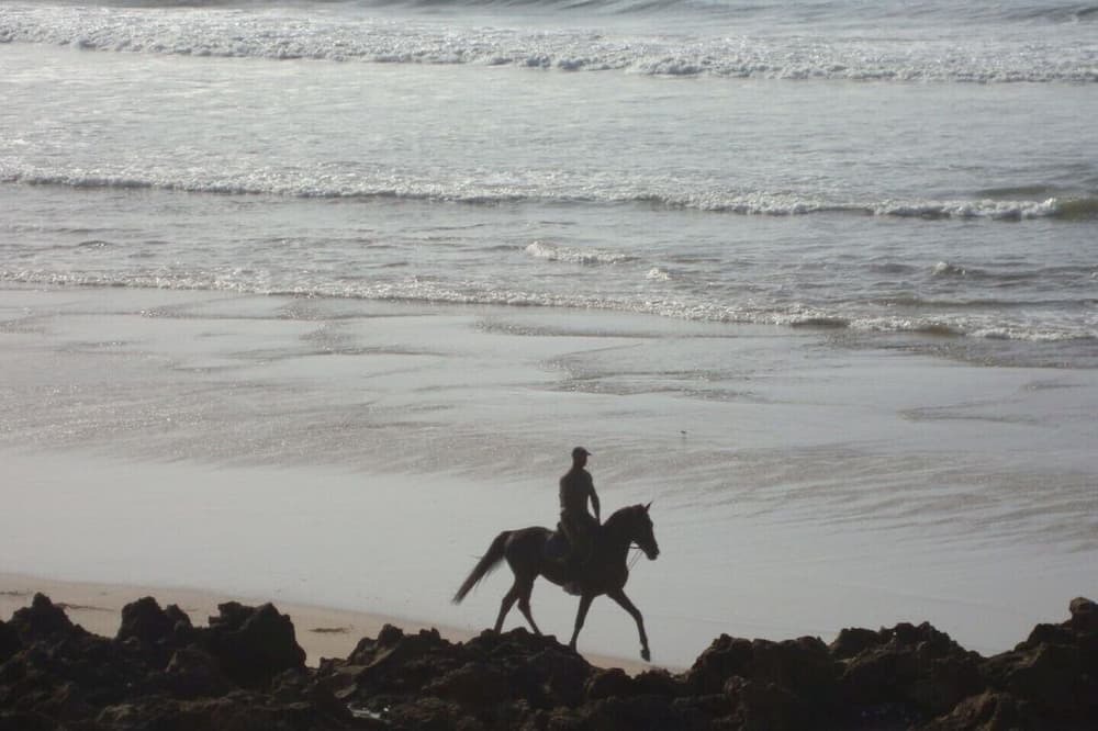 Photo of Others in Temara