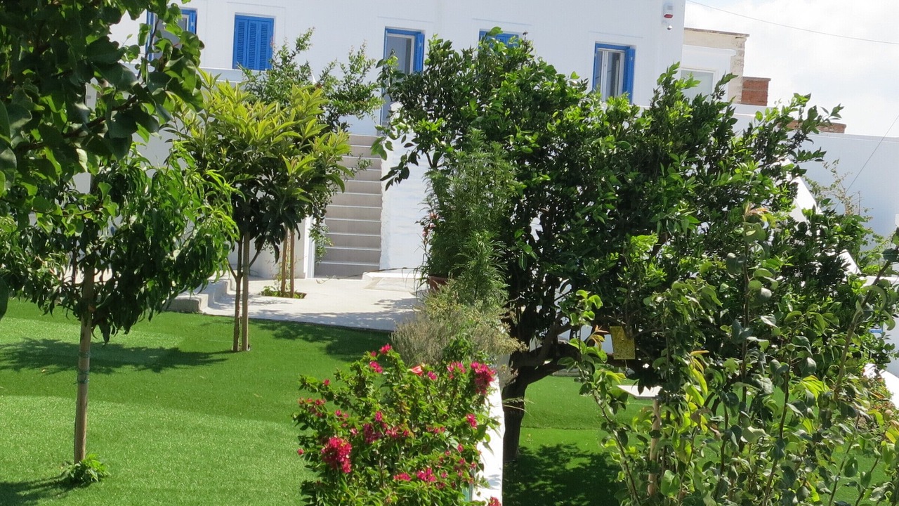 Photo of Patio Balcony in Pitrofos