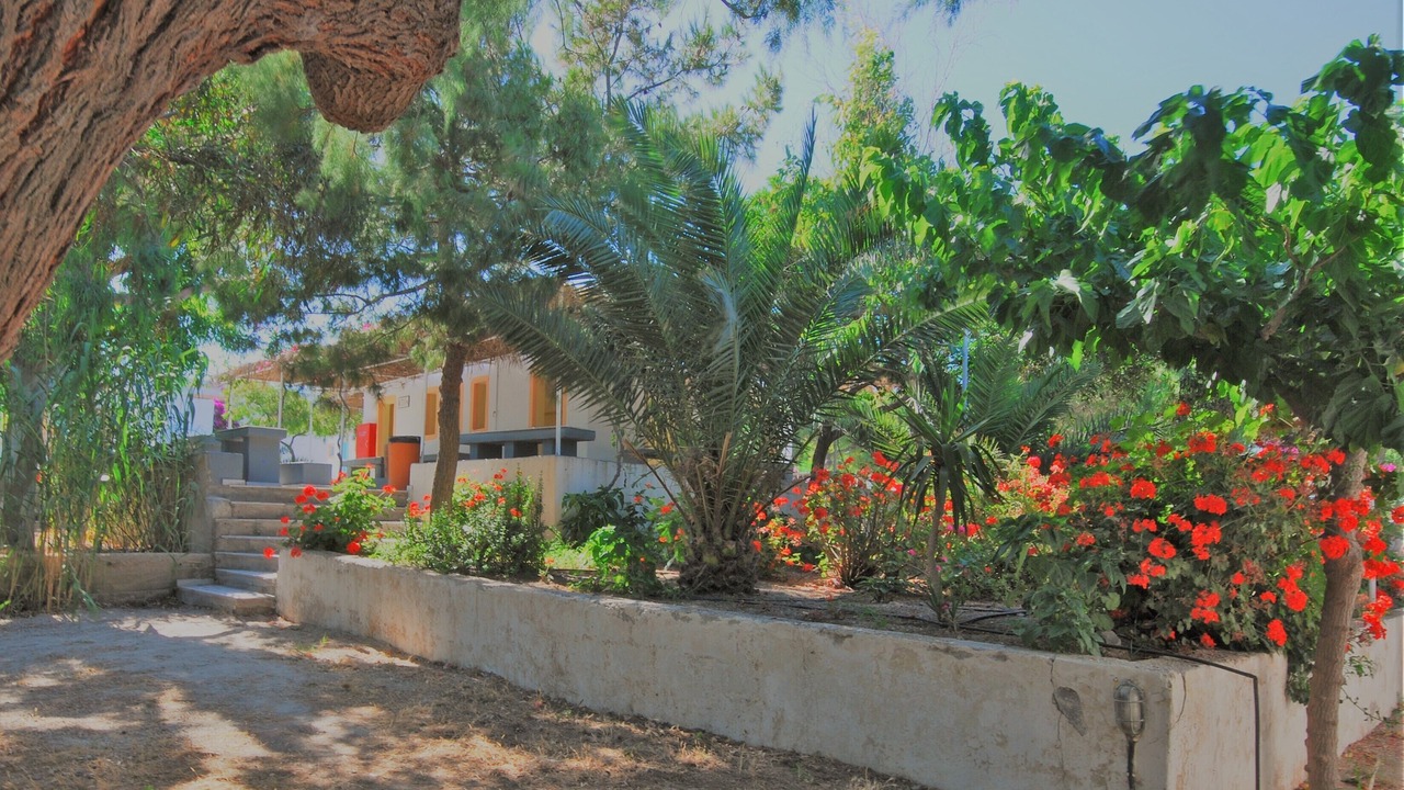Photo of Outdoor in Fira