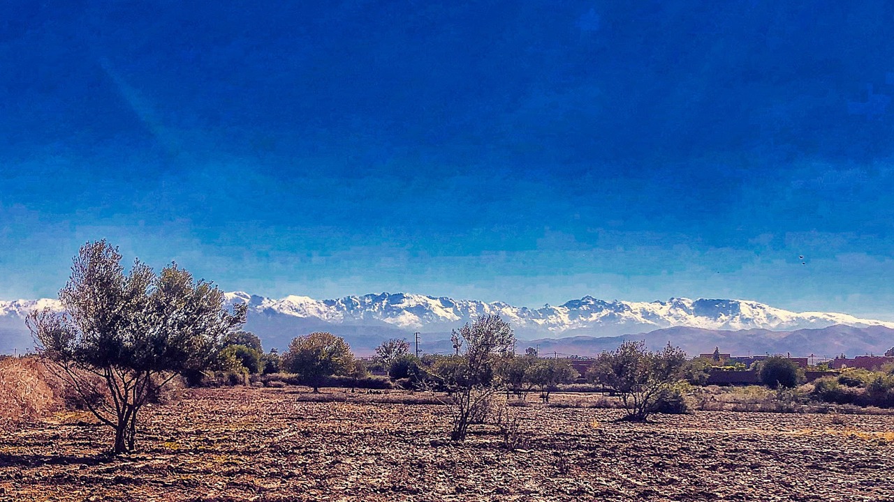 Photo of Outdoor in Tameslouht