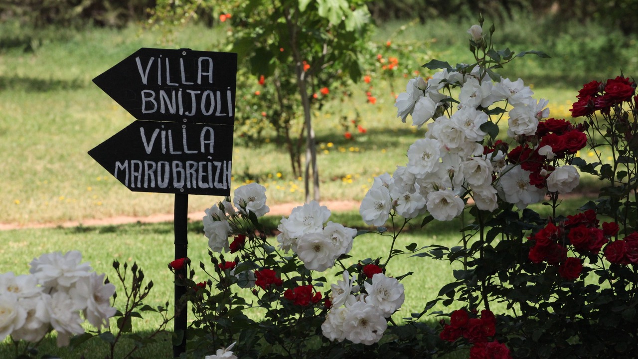 Photo of Outdoor in Saada