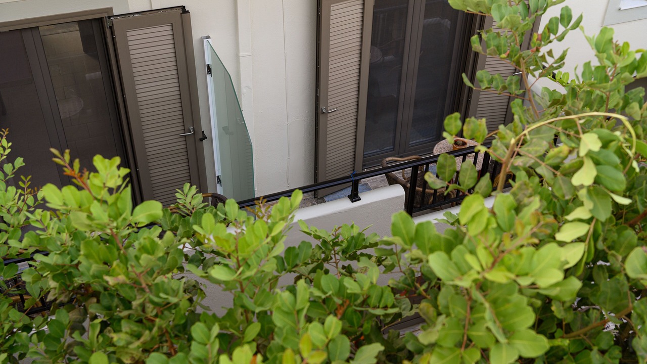 Photo of Outdoor in Agia Galini