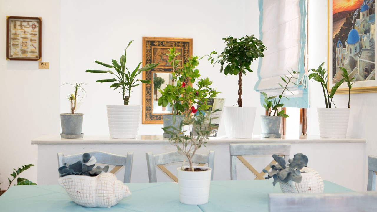 Photo of Others in Akrotiri